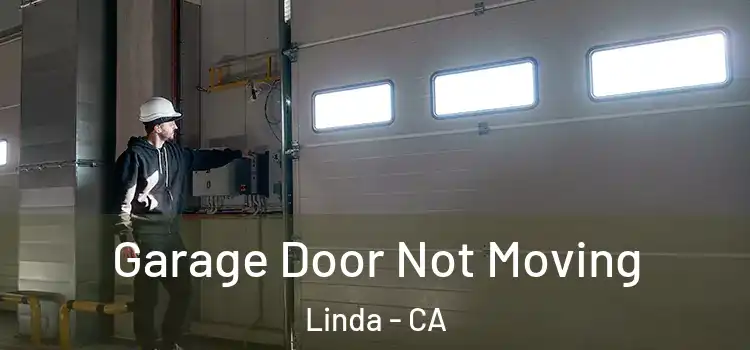  Garage Door Not Moving Linda - CA