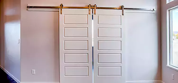 Glass Barn Door with Installation Hardware Kit Linda