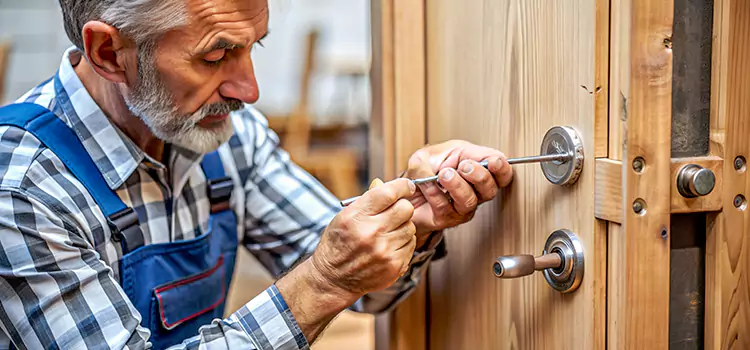 Mortise Replacement Lock Linda