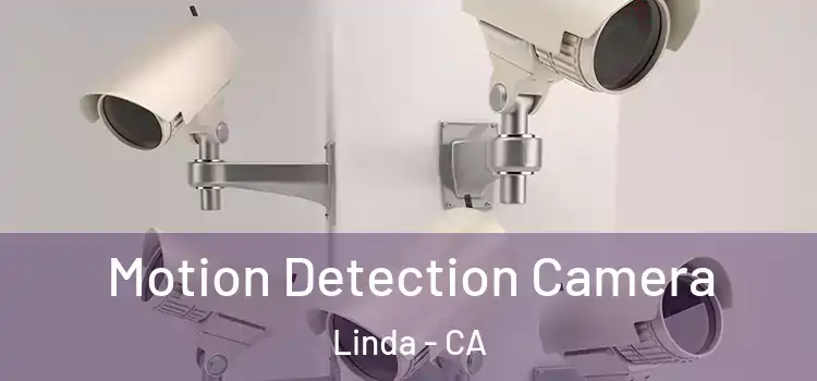  Motion Detection Camera Linda - CA